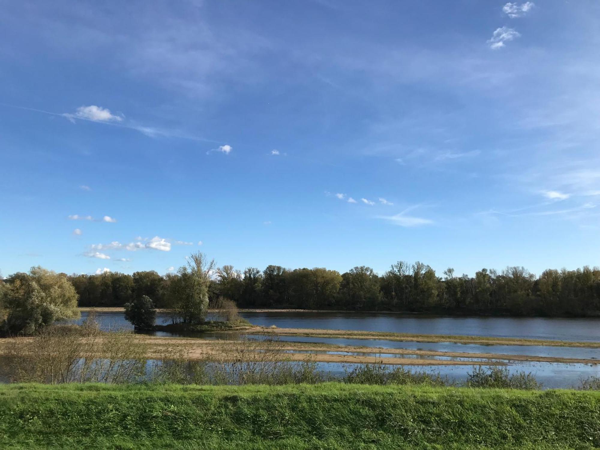 Jacuzzi Et Vue Sur Loire - Maison D'Hotes L'Odyssee La Chapelle-sur-Loire Екстер'єр фото
