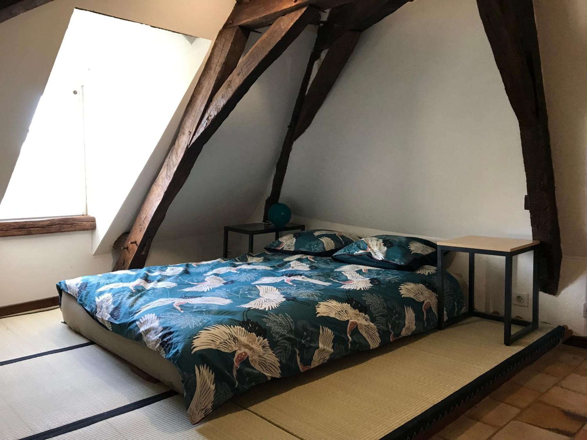 Jacuzzi Et Vue Sur Loire - Maison D'Hotes L'Odyssee La Chapelle-sur-Loire Екстер'єр фото